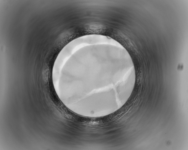 X0000099230647200805221837