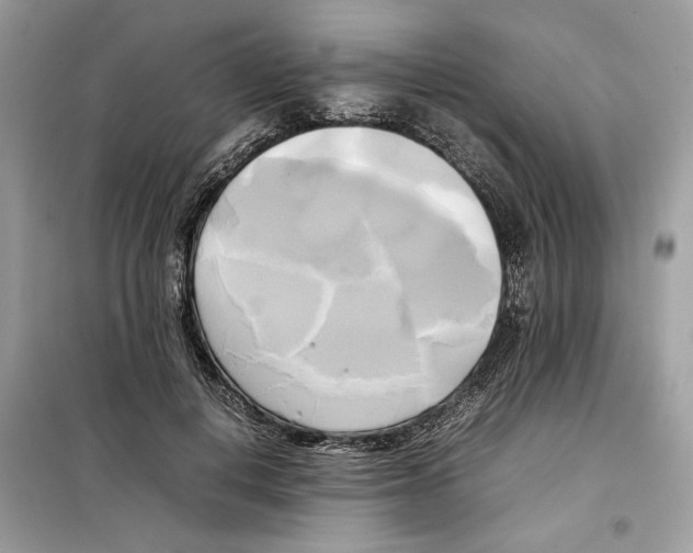 X0000099230648200805221837