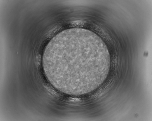 X0000099230649200805221837