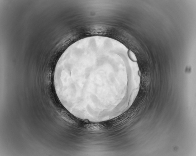 X0000099230652200805221837