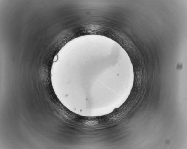 X0000099230653200805221837