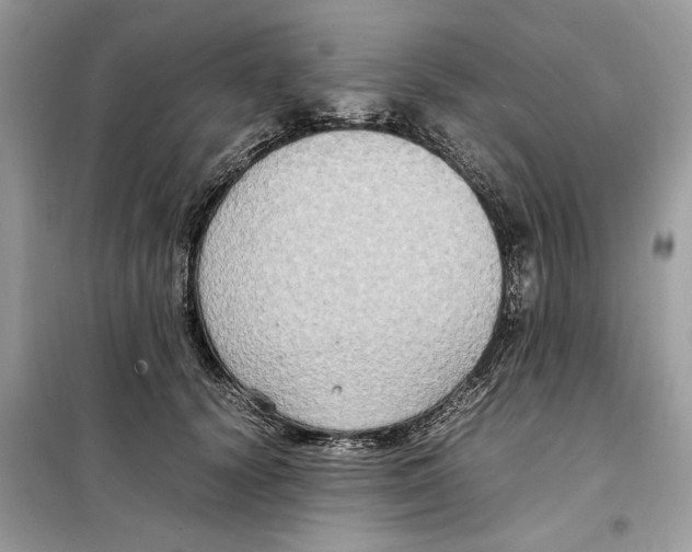 X0000099230656200805221837