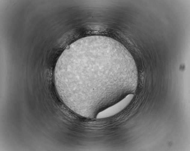 X0000099230657200805221837