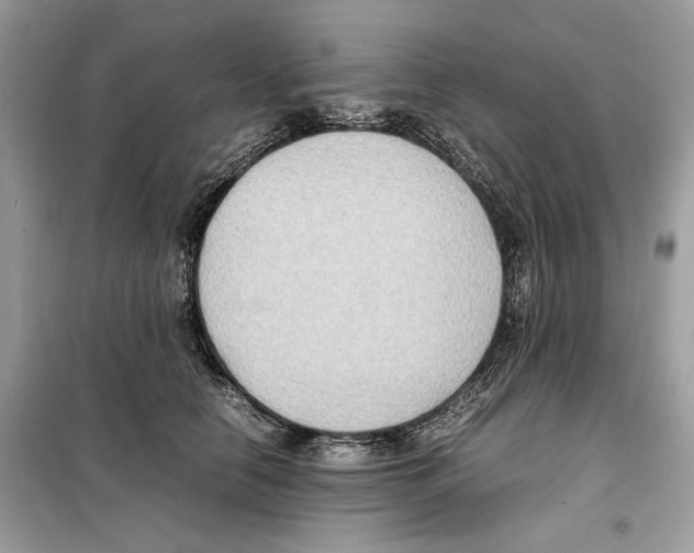 X0000099230658200805221837