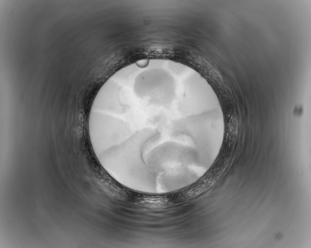 X0000099230659200805221837