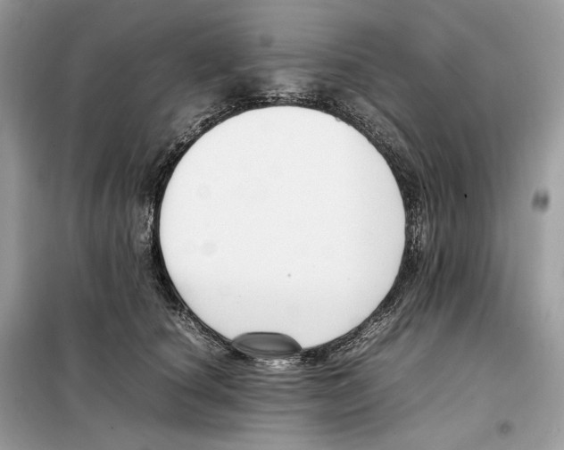 X0000099230660200805221837