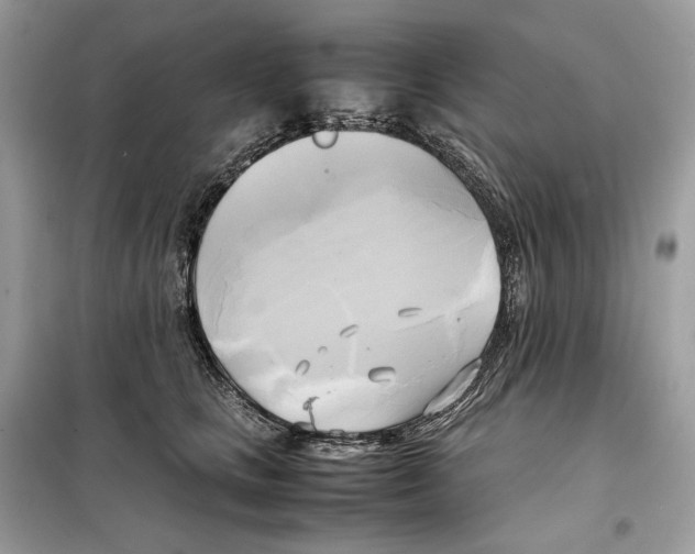 X0000099230661200805221837