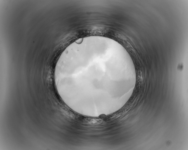 X0000099230663200805221837