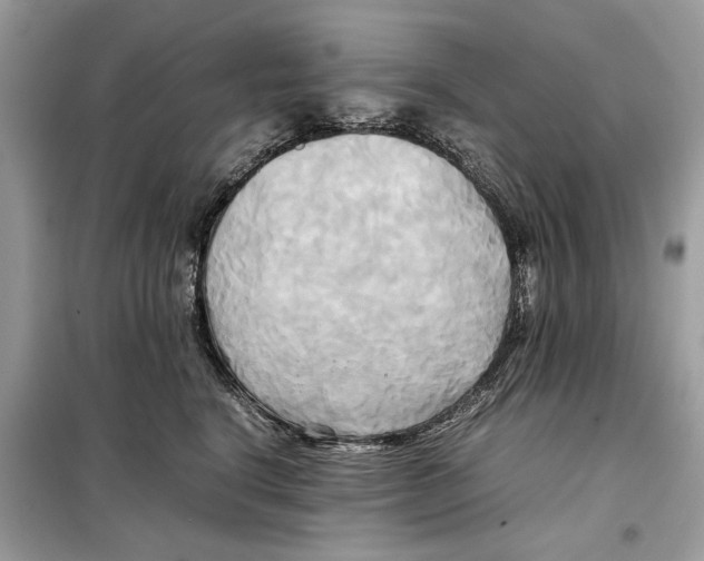 X0000099230664200805221837