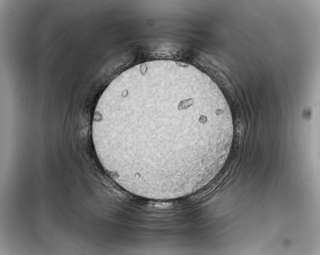 X0000099230665200805221837