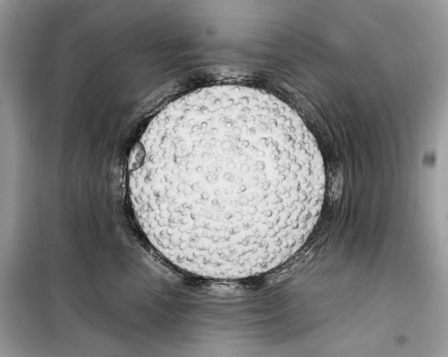 X0000099230666200805221837