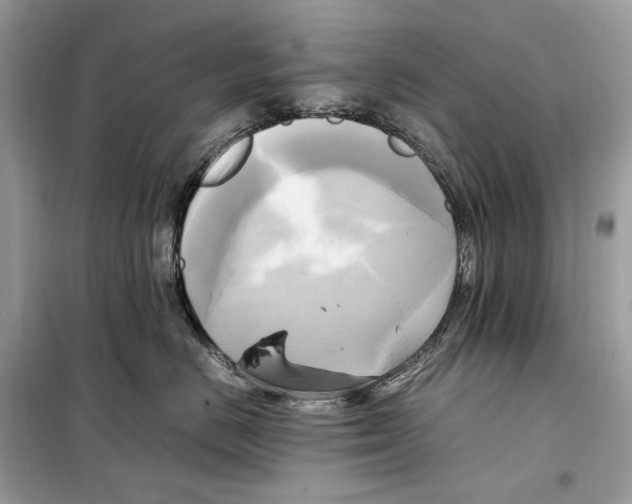 X0000099230670200805221837