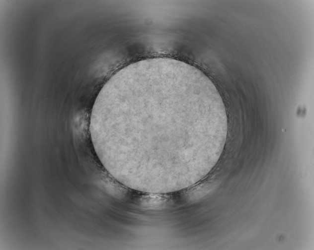 X0000099230672200805221837