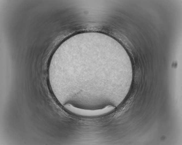 X0000099230673200805221837