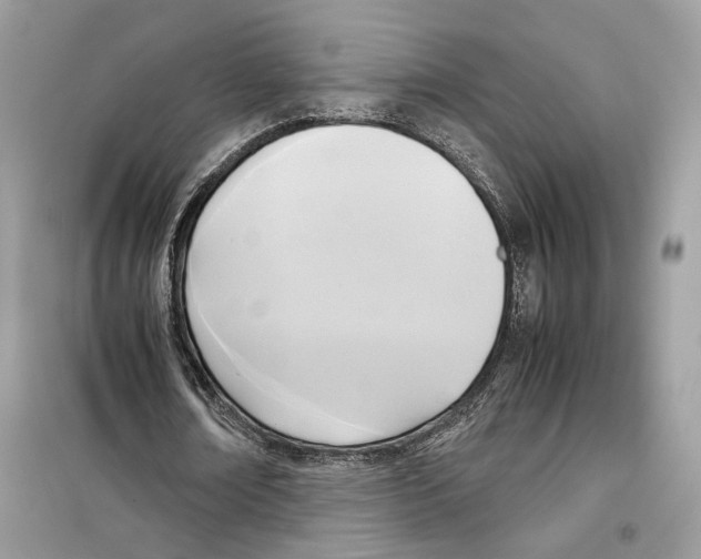 X0000099230674200805221837