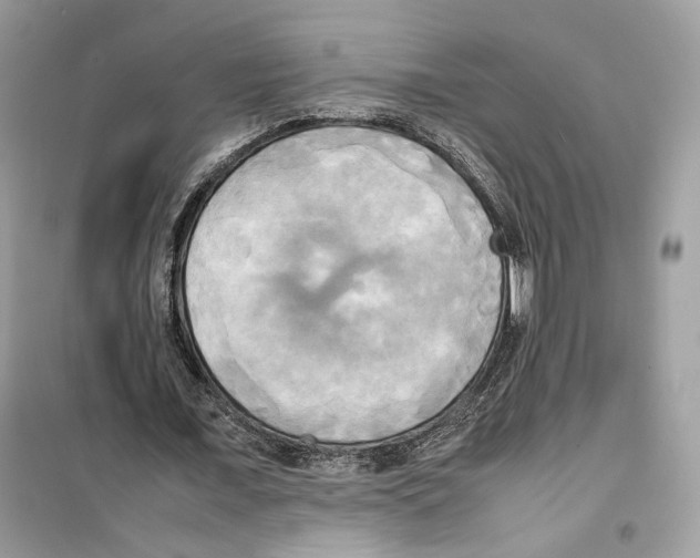 X0000099230675200805221837