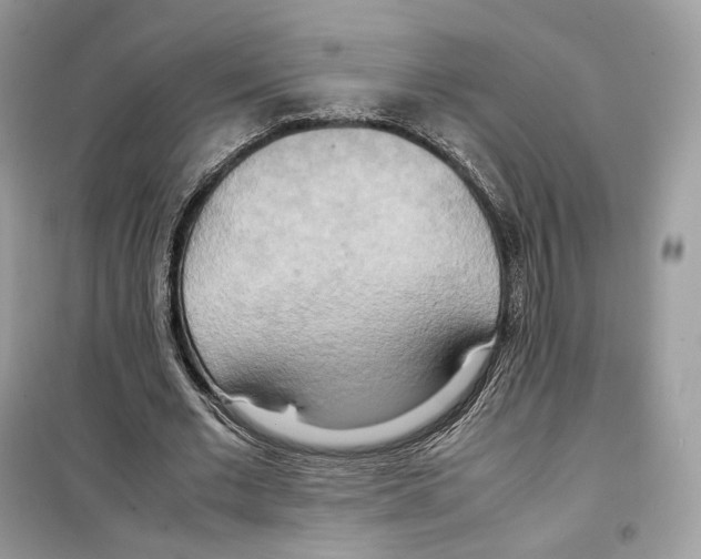 X0000099230677200805221837