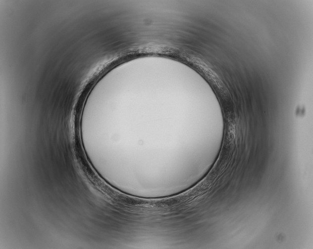 X0000099230678200805221837