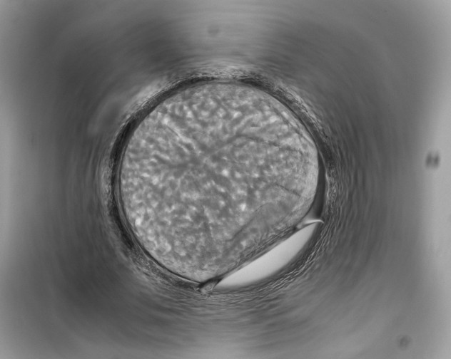 X0000099230679200805221837