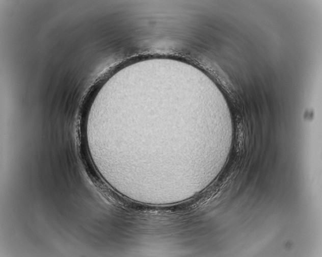 X0000099230680200805221837