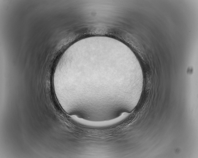 X0000099230681200805221837