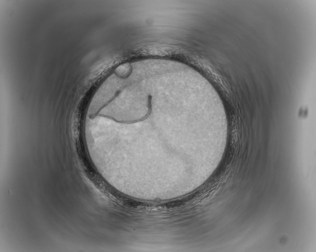 X0000099230683200805221837