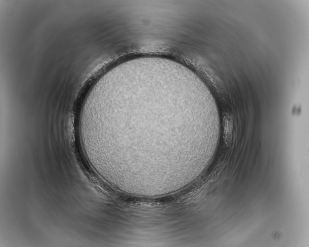 X0000099230684200805221837