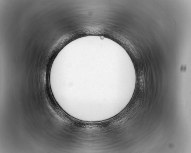 X0000099230686200805221837