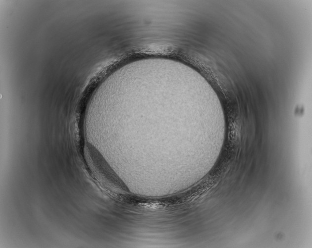 X0000099230688200805221837