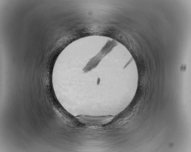 X0000099230689200805221837