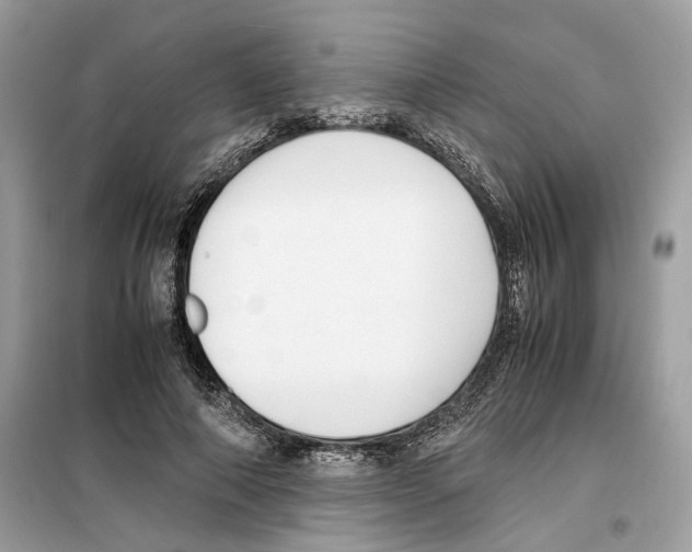 X0000099230690200805221837