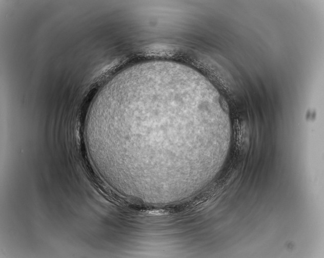 X0000099230692200805221837