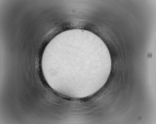 X0000099230693200805221836