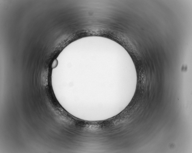 X0000099230694200805221836