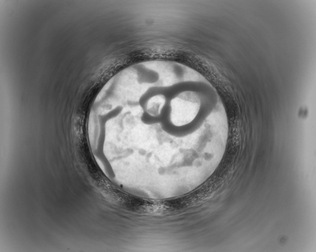 X0000099230695200805221836