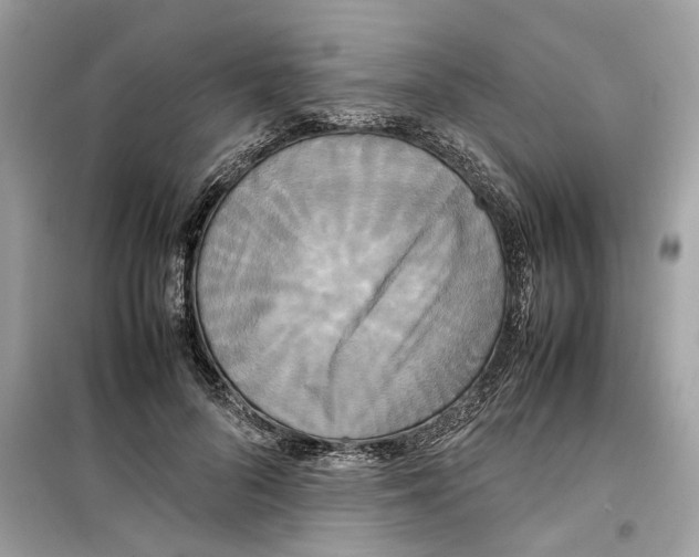 X0000099230696200805221836