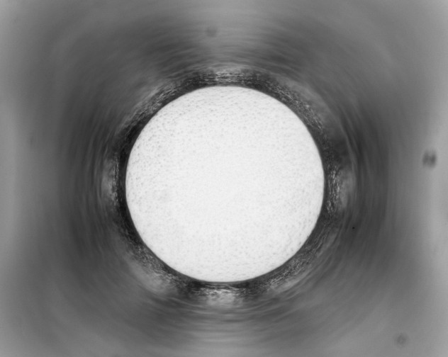 X0000099230698200805221836