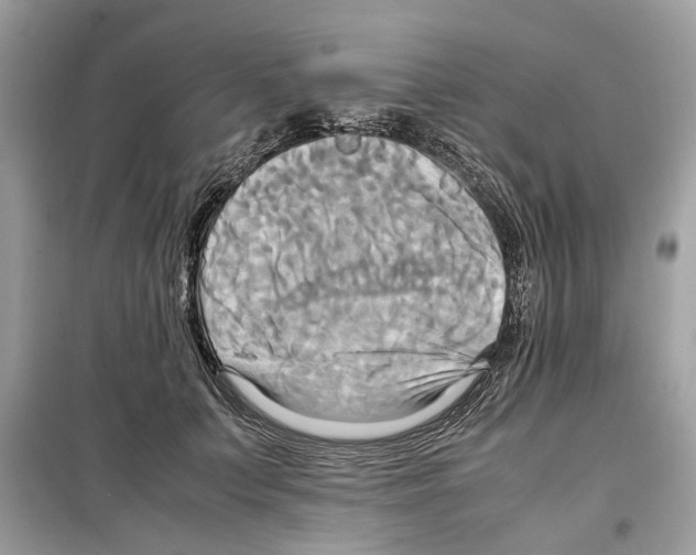 X0000099230703200805221836