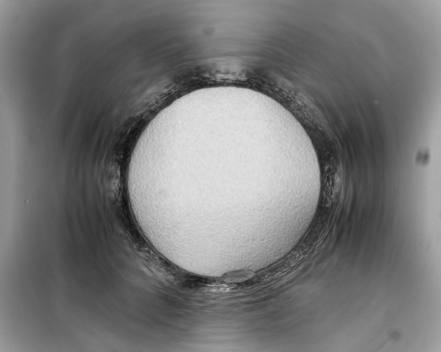 X0000099230704200805221836