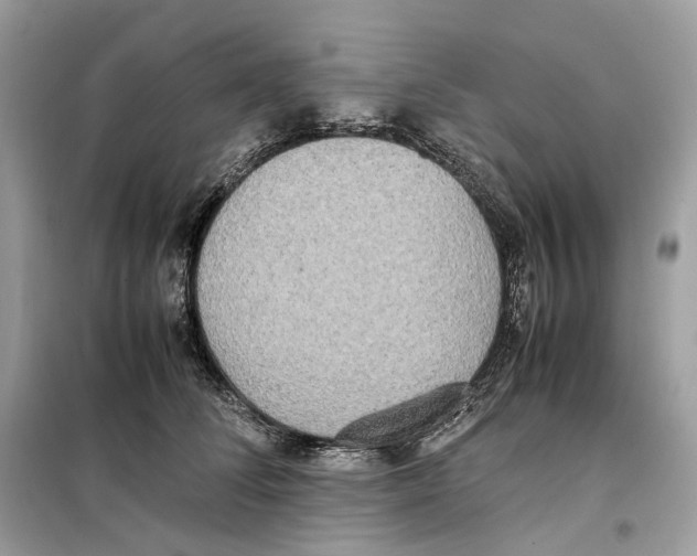 X0000099230708200805221836