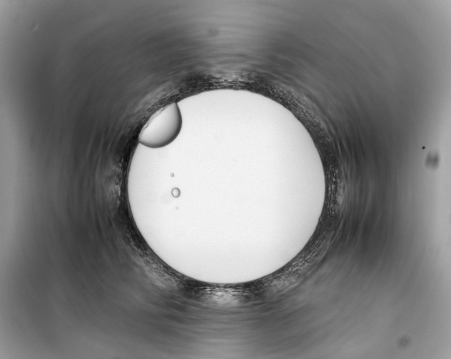 X0000099230710200805221836