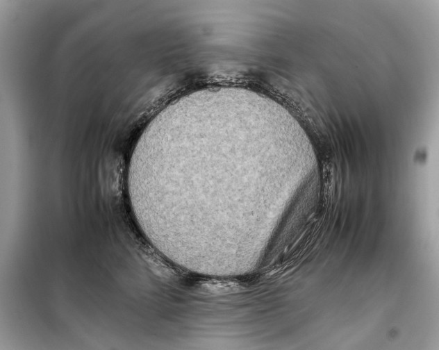 X0000099230712200805221836