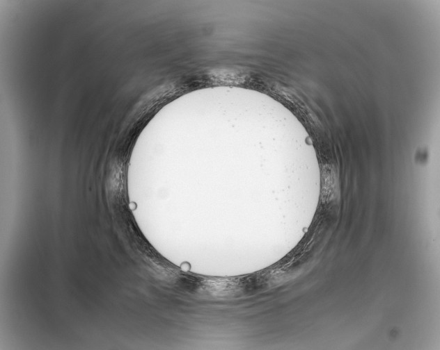 X0000099230713200805221836