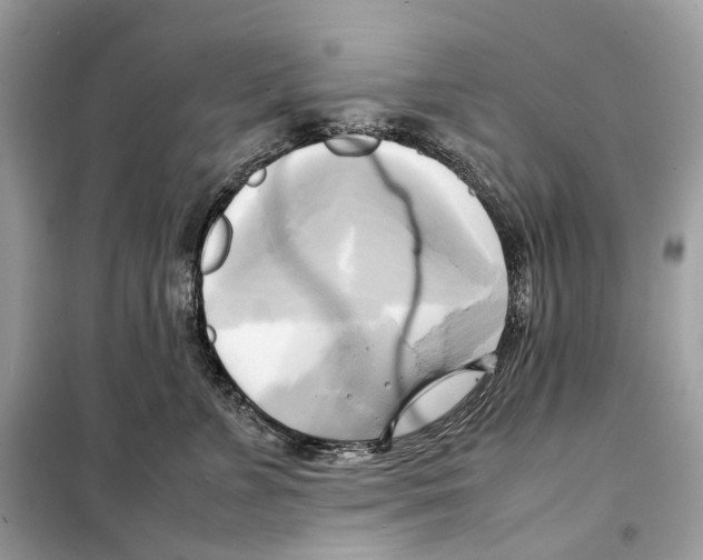 X0000099230715200805221836