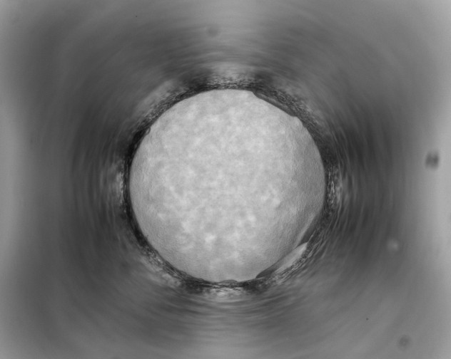 X0000099230716200805221836