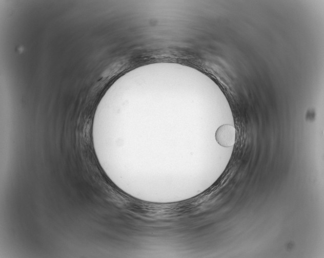 X0000099230717200805221836