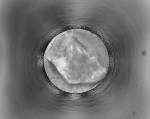 X0000099230719200805221836