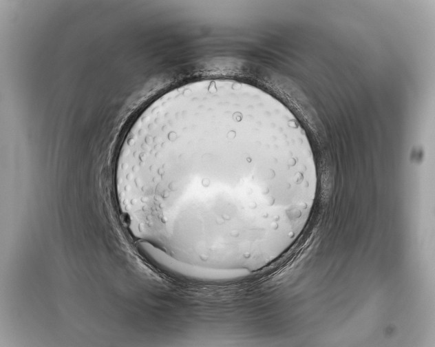 X0000099230721200805221835