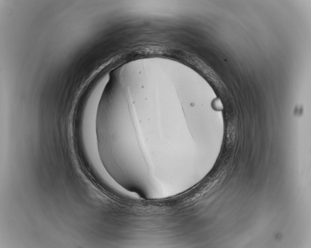 X0000099230722200805221835