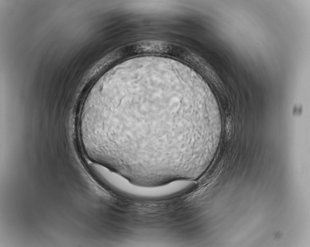 X0000099230725200805221835